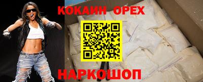 ешки Кингисепп