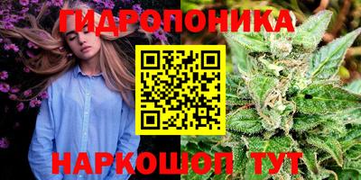 ешки Кингисепп