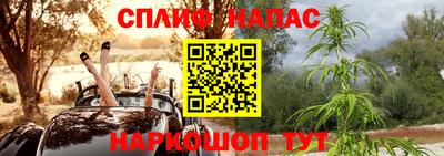 ешки Кингисепп