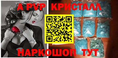 ешки Кингисепп