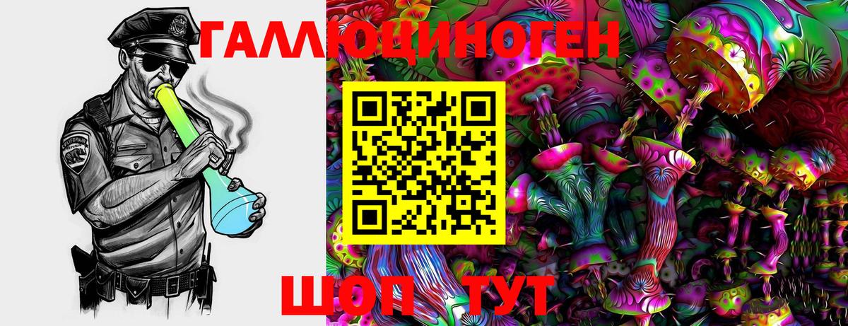 Галлюциногенные грибы Cubensis  Вход с VPN  Костомукша  Псилоцибиновые грибы Psilocybe 